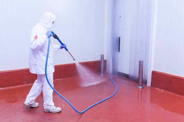  Bodfish, CA Pressure Washing Pros